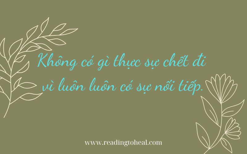 15 câu trích dẫn hay nhất trong sách Không diệt không sinh đừng sợ hãi