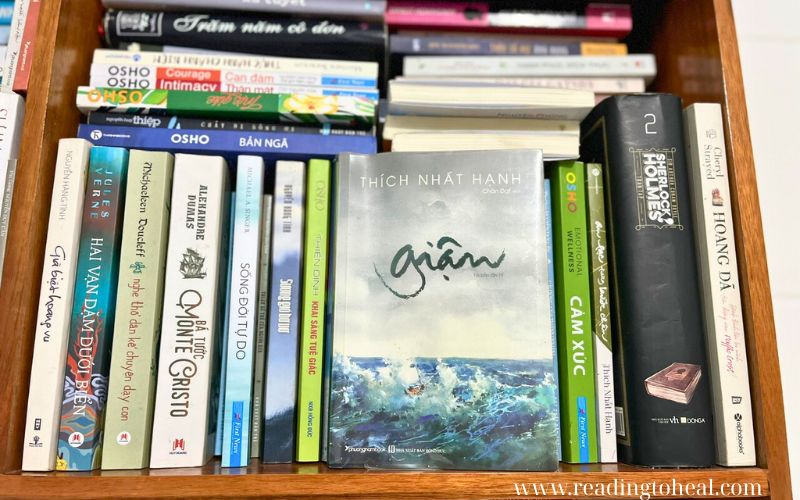 noi dung sach gian cua thich nhat hanh